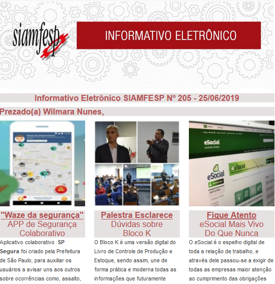 Informativo Eletrônico 205