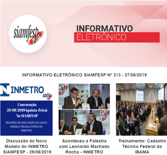 Informativo Eletrônico 213