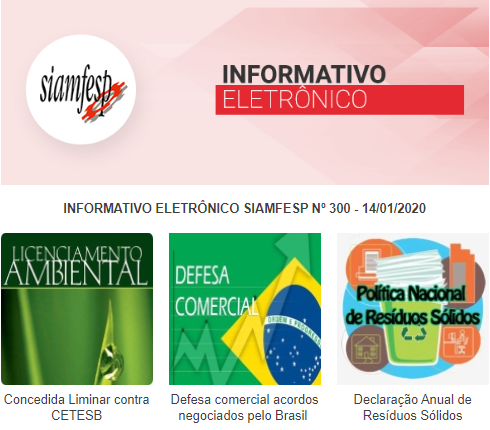 Informativo Eletrônico 300