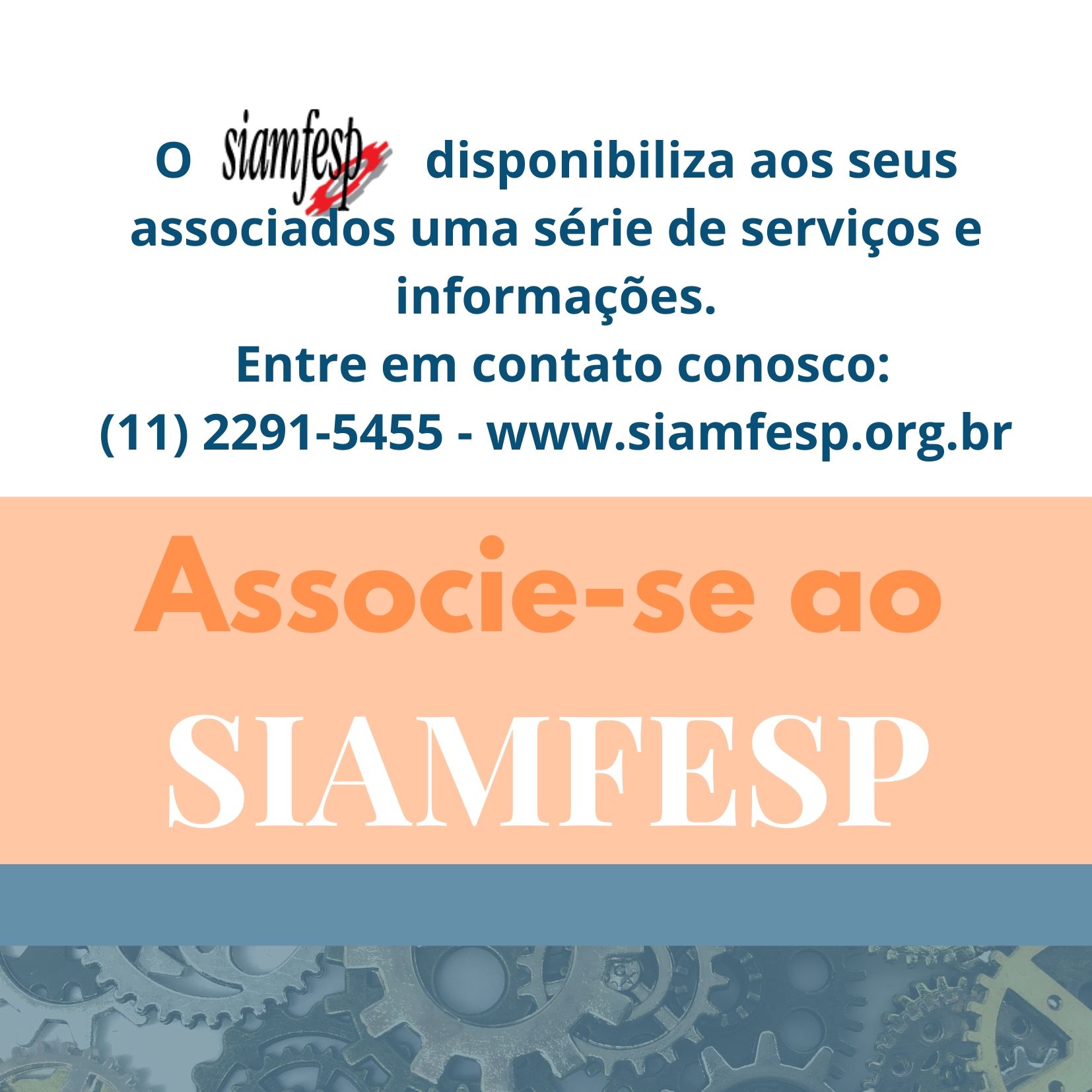 Informativo Eletrônico 229
