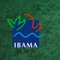 ibama boletim 280 canva