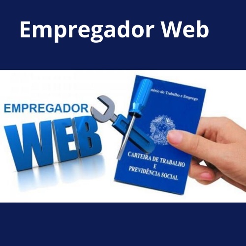 241 empregador web