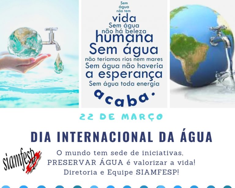 Dia mundial agua 768x614