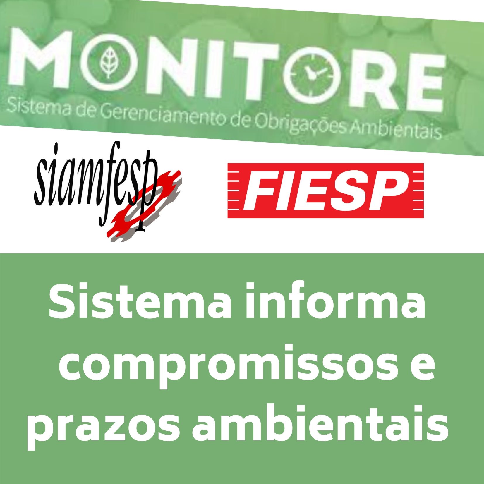 Monitore