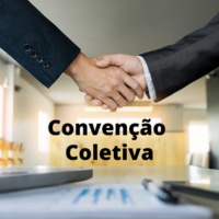Informativo Eletrônico 336